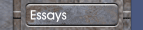 Essays